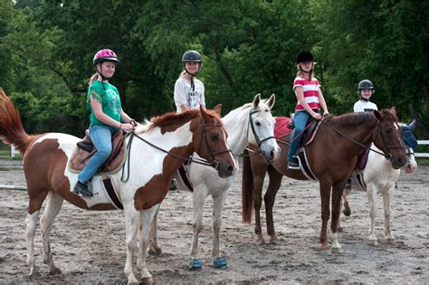 horse lessons|guided horseback riding near me.